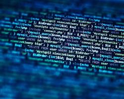 Case Study: Building a Dynamic Portfolio with a PHP Backend